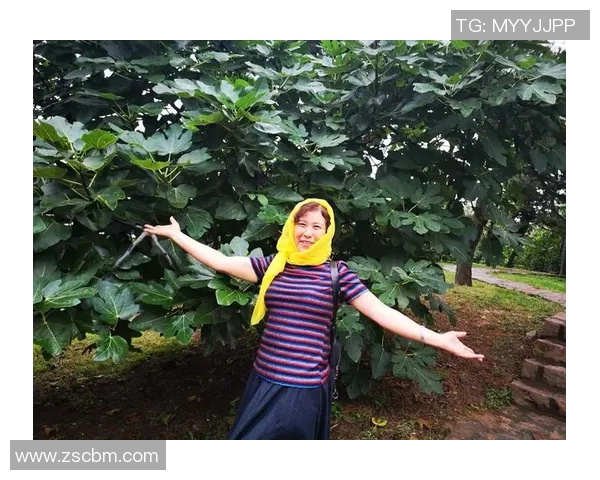 深度对话:刘强如何在DOTA2中找到人生的意义与激情 深度对话:刘强如何在DOTA2中找到人生的意义与激情