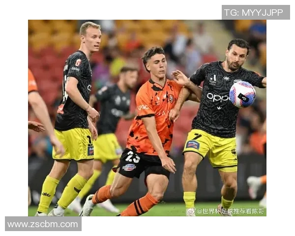 惠灵顿与布里斯班历史交锋战绩分析及近期表现对比