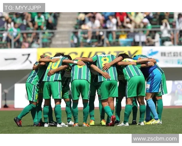 甲府vs枥木sC
