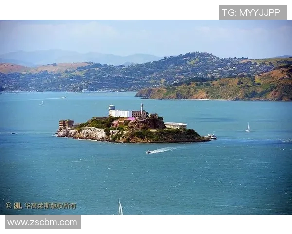 赖斯的崛起与挑战:解析其在国际政治中的影响力与未来发展方向 赖斯的崛起与挑战:解析其在国际政治中的影响力与未来发展方向