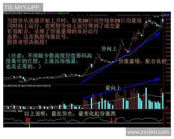 韩国与德国足球赛大小球分析及投注建议探讨 韩国与德国足球赛大小球分析及投注建议探讨