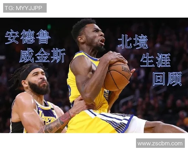 博格丹博格达诺维奇的篮球之路与职业生涯回顾