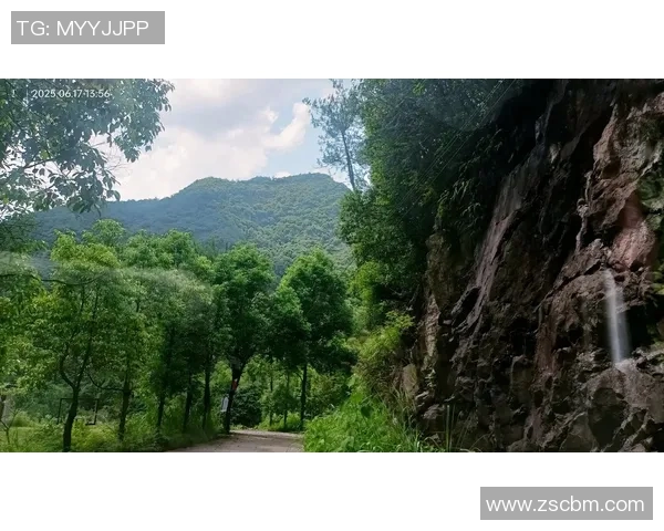 探索甘美WVS高士路的独特魅力与风景,感受城市与自然的完美融合 探索甘美WVS高士路的独特魅力与风景,感受城市与自然的完美融合
